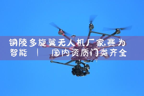 ͭ˻|˻UAV