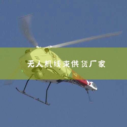 й˻ͷҵ:صй˾,2022й˻ҵа-,Ǹʲô?,˻عӦЩ?,(CJT CONNEC,˻UAV