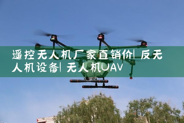 ң˻ֱ|˻UAV