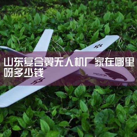 20kgֱ˻㷺ӦڶصʹΪִضѡǼֹؼӦã1. Ѳ飺ؿɼ/һغɺСSAR豸Թ··,˻UAV