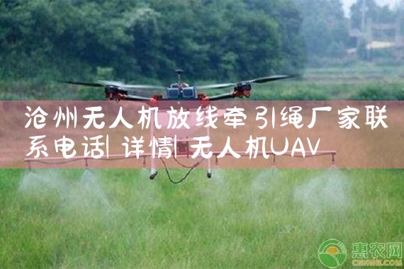 ˻ǣϵ绰|˻UAV