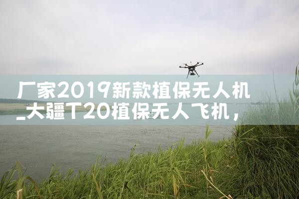 2019¿ֲ˻|˻UAV